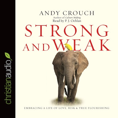 Strong and Weak – omslag til lydbogen af Andy Crouch