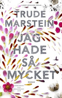 Jag hade så mycket – omslag till ljudboken av Trude Marstein