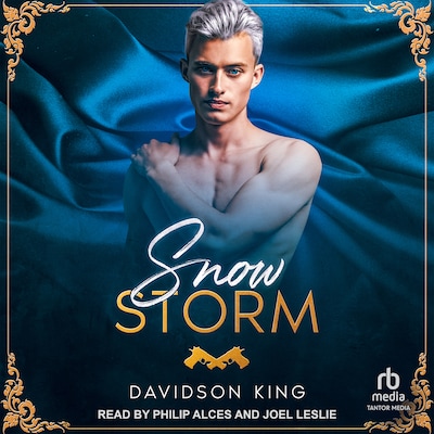 Snow Storm – omslag til lydbogen af Davidson King