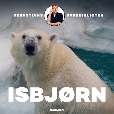 Sebastians dyrebibliotek - Isbjørn – omslag til lydbogen af Sebastian Klein