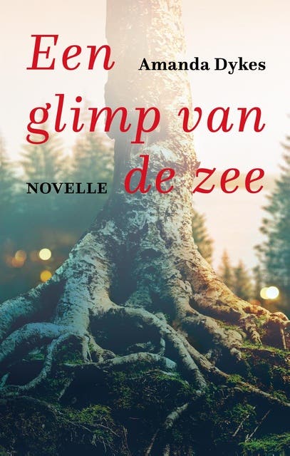 Een glimp van de zee (e-book): Novelle