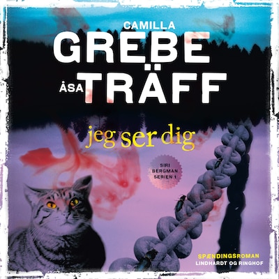 Jeg ser dig – omslag til lydbogen af Camilla Grebe, Åsa Träff