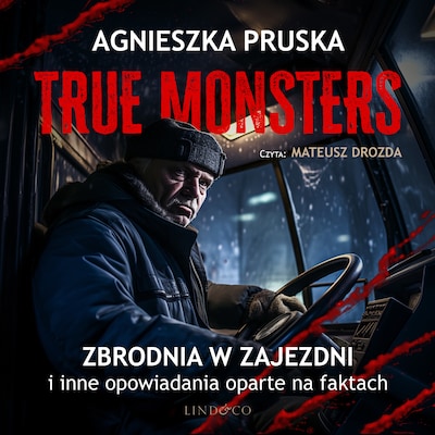 Zbrodnia w zajezdni i inne opowiadania oparte na faktach (2) – okładka audiobooka, autor Agnieszka Pruska