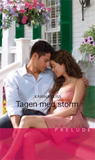 Tagen med storm – omslag till ljudboken av Karina Bliss