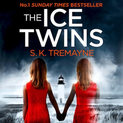 The Ice Twins