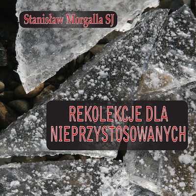 Rekolekcje dla nieprzystosowanych – okładka audiobooka, autor Stanisław morgalla