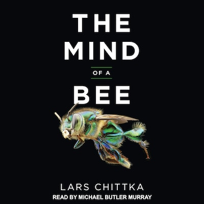 The Mind of a Bee – omslag til lydbogen af Lars Chittka