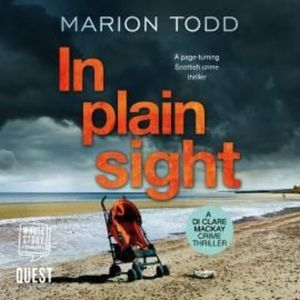 In Plain Sight – okładka audiobooka, autor Marion Todd