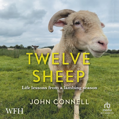 Twelve Sheep