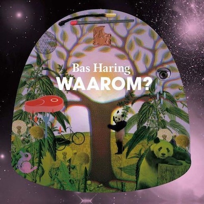 Waarom? – omslag van het luisterboek van Bas Haring