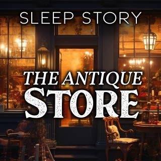 The Antique Store: Sleep Story
