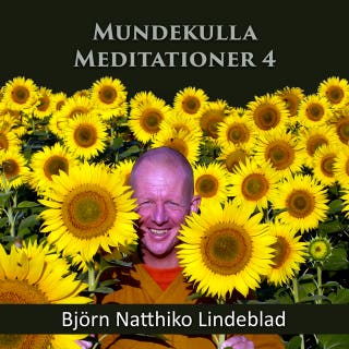 Mundekulla Meditationer 4