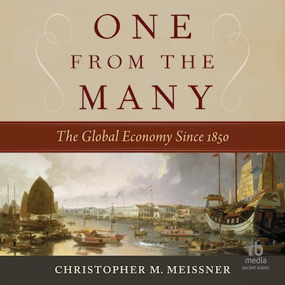 One From the Many – omslag til lydbogen af Christopher M. Meissner