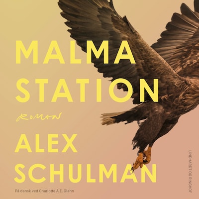 Malma station – omslag til lydbogen af Alex Schulman