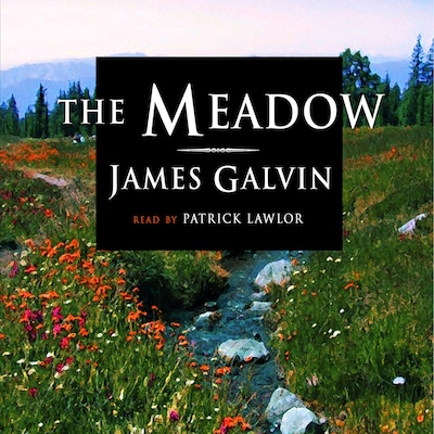 The Meadow – omslag til lydbogen af James Galvin