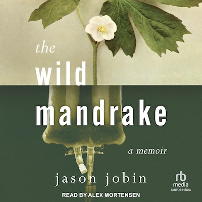The Wild Mandrake – omslag til lydbogen af Jason Jobin