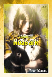 Vägen till Noas ark