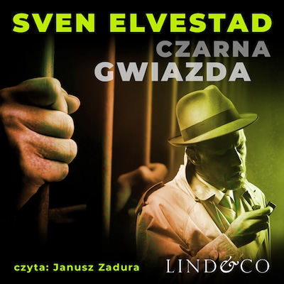 Czarna Gwiazda – okładka audiobooka, autor Sven Elvestad