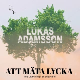 Att mäta lycka: Inre utveckling i en ytlig värld