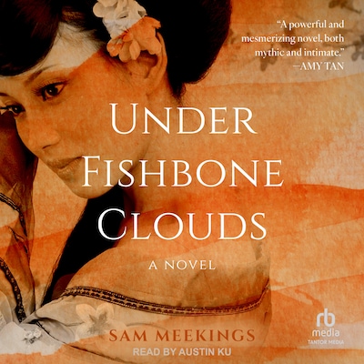 Under Fishbone Clouds – omslag til lydbogen af Sam Meekings