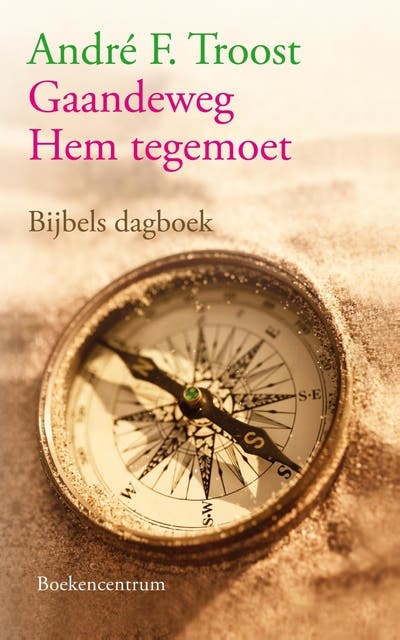 Gaandeweg Hem tegemoet: bijbels dagboek
