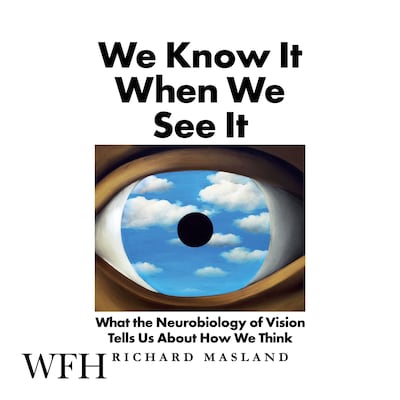 We Know It When We See It – omslag til lydbogen af Richard Masland