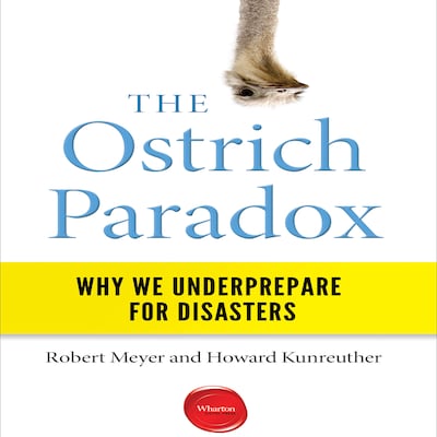 The Ostrich Paradox – omslag til lydbogen af Howard Kunreuther, Robert Meyer