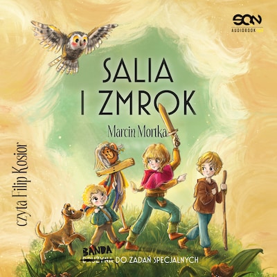 Salia i Zmrok – okładka audiobooka, autor Marcin Mortka