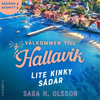 Lite kinky sådär (S3E3 Välkommen till Hallavik)