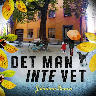 Det man inte vet