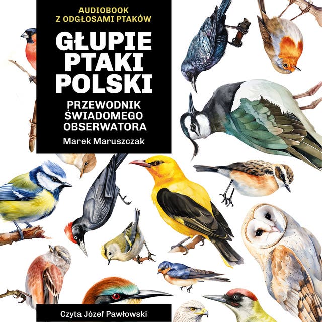 Głupie ptaki Polski. Przewodnik świadomego obserwatora