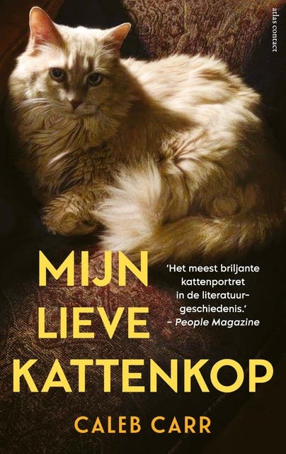 Mijn lieve kattenkop: Masha: de wilde kat die mij redde