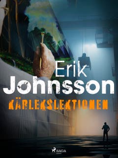 Kärlekslektionen