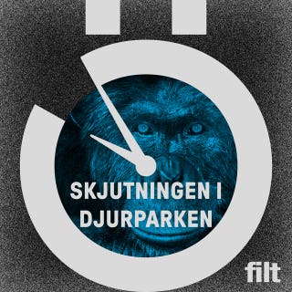 Skjutningen på Furuviks djurpark: Behövde schimpanserna dö? – omslag till ljudboken av Alice Lööf