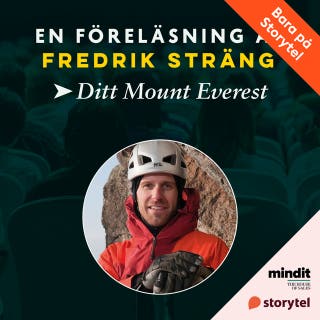 Ditt Mount Everest