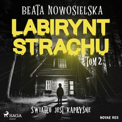 Labirynt strachu. Tom 2. Światło jest kapryśne – okładka audiobooka, autor Beata Nowosielska