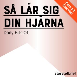 Så lär sig din hjärna