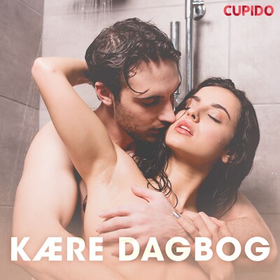 Kære dagbog – erotiske noveller – omslag til lydbogen af Cupido