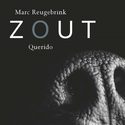 Zout