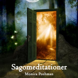 Sagomeditationer