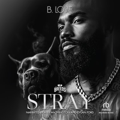 Stray – omslag til lydbogen af B. Love