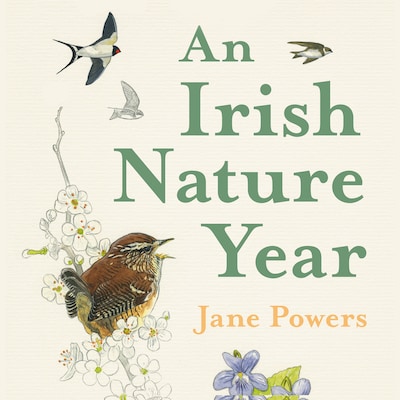 An Irish Nature Year