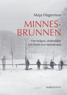 Minnesbrunnen : om helgon, skallmätare och hotet mot demokratin