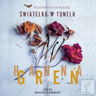 Światełko w tunelu – okładka audiobooka, autor Hanna Greń