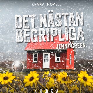 Det nästa begripliga