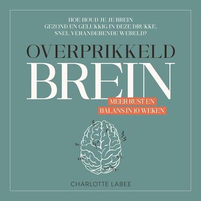 Overprikkeld Brein