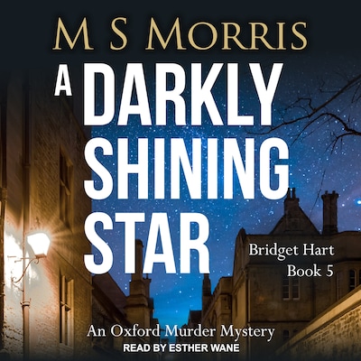 A Darkly Shining Star – omslag til lydbogen af M S Morris