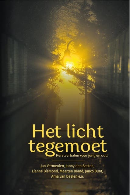 Het licht tegemoet: Kerstverhalen voor jong en oud – omslag van het luisterboek van Anita Kramer,Arna van Deelen,Everdien Noorlander,Hanneke Mostert,Janco Bunt,Janny den Besten,Lianne Biemond,Maarten Brand,Marjanne Hendriksen,Sytse van der Veen,Tonja Versluis
