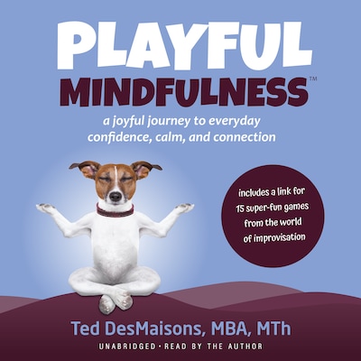 Playful Mindfulness: a joyful journey to everyday confidence, calm, and connection – omslag til lydbogen af Ted DesMaisons