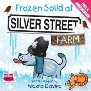 Frozen Solid at Silver Street Farm – okładka audiobooka, autor Nicola Davies